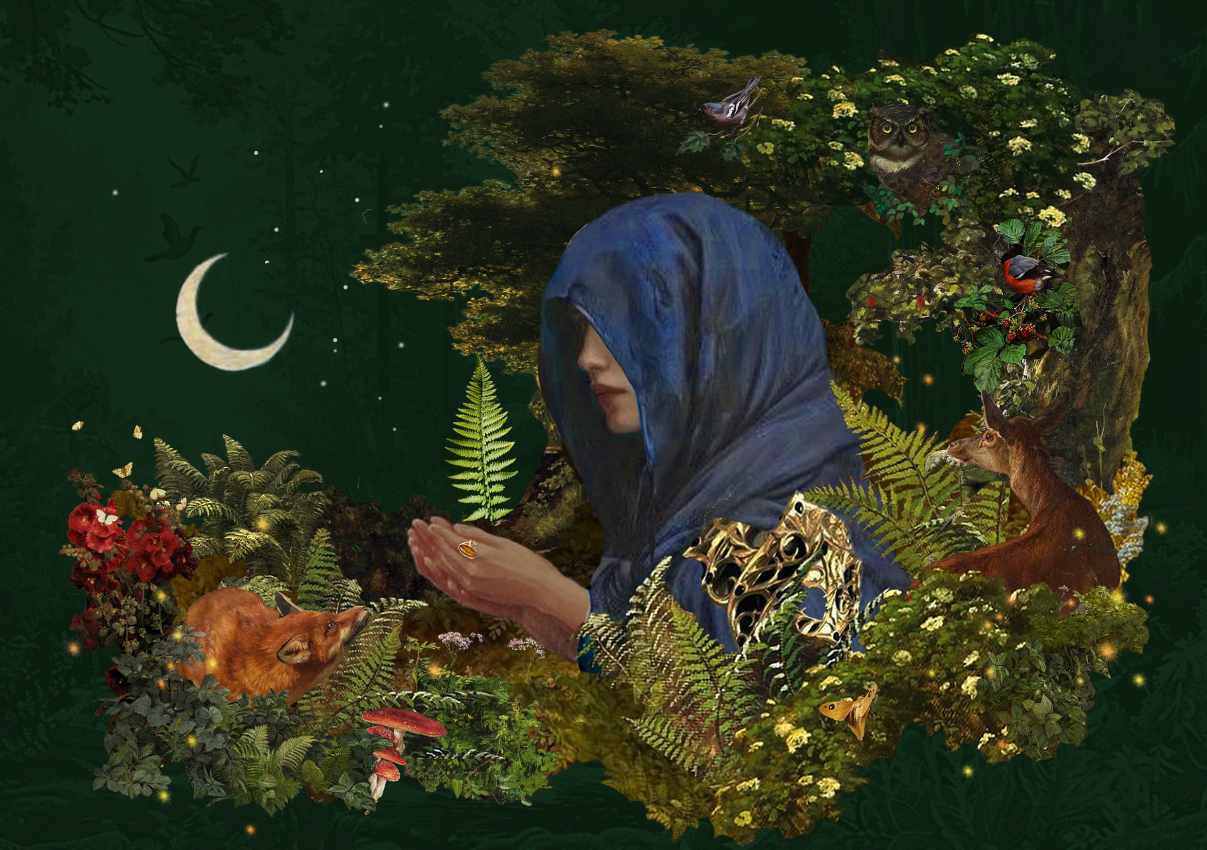 Homepage video section